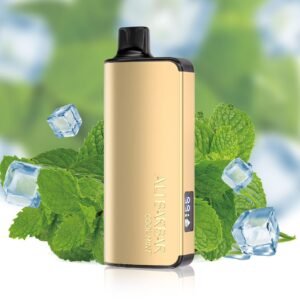alibarbar 9000 puffs vape cool mint
